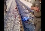 Suicide by train 2