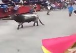 Bull kills a guy 5