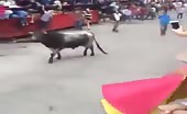 Bull kills a guy 7
