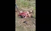 Chainsaw massacre in brazil 1