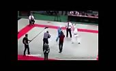 Kungfu referee 1