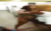Bitches fight 8