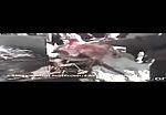 China dog slaughter house 2