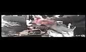 China dog slaughter house 15