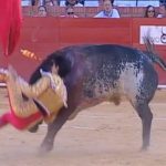 Bull gores a bullfighter in the chest 2