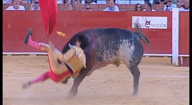 Bull gores a bullfighter in the chest 1