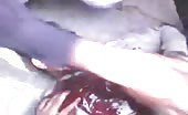 Syrian citizen killed in bombing by assad group 30