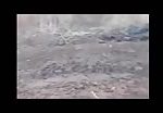 Footage of dead syrian army soldiers 2
