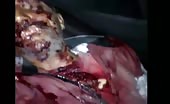 Man killed by syrian army 5