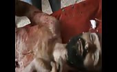 Victims of the brutality of assad regime 16