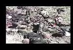 Corpse of syrian army 2