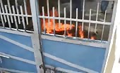 Indian man burned himself with petrol 14