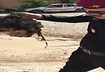 Iraqi soldier carries decapitated head 2
