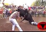Killer bull takes revenge 2