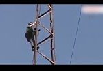 Suicide attempt at high voltage line 2