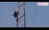 Suicide attempt at high voltage line 12