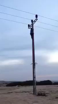 Teen climbed an electric pole and got electrocuted 4