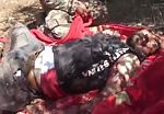 Fsa soldier tortured and murdered by syrian army 2