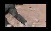 Dead syrian army men in aleppo 10