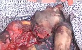 A view of civilians corpses in darra, syria 10