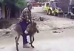 Indian horny donkey 1