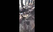 Footage of dead isis soldiers 14