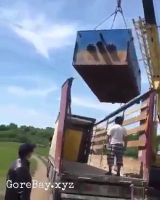 Poor guys crushed to death by a falling shipping container 1