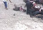 Prisoners in iraq were killed in the city of mosul 1