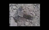 Brutal death by mortar shelling 11