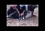 Old footage of beheading 1