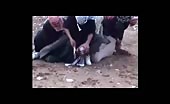 Old footage of beheading 13