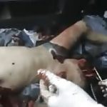People wounded by shelling, syria (graphic content warning) 2
