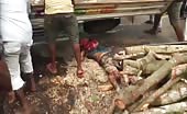 Terrible accident in srilanka 5
