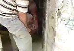 Another footage of israel cruelty in gaza 2