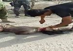 Iraqi soldier finishes the beheading of isis soldier 1