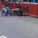 A man mercilessly gored by a bull in a bull run festival 1