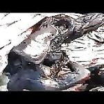 Syrian burned corpses 2