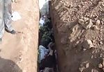 Mass grave by assad army 2