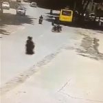 Scooter bumps into a bike and slams a bus 2