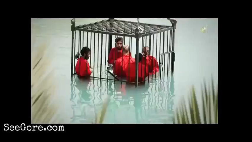 Five men were put in cage by ISIS and lowered into water. 