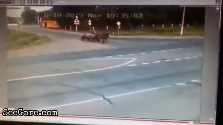 Horse-drawn cart clobbered killing its passenger, but the horse is safe 19