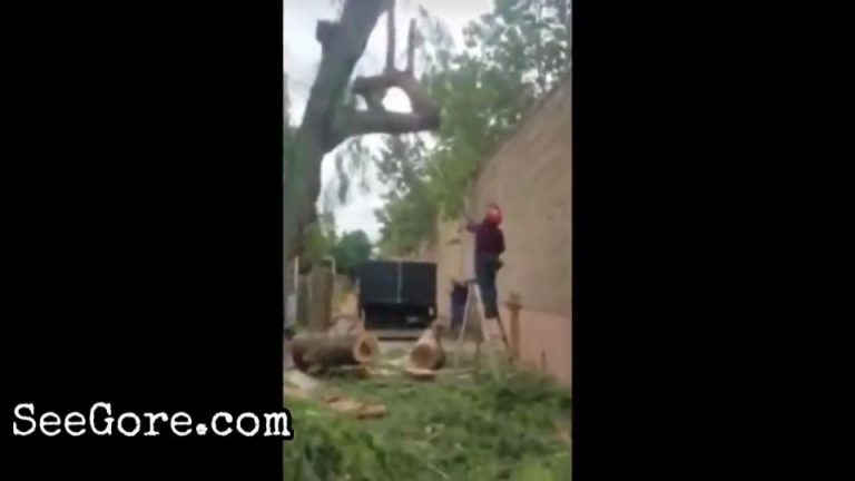 Man face gored by a big falling tree branch 12