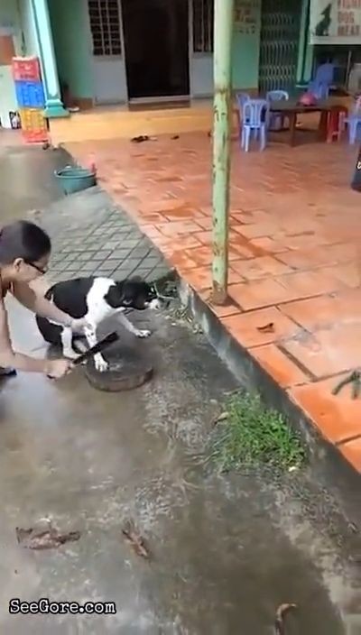 Vietnamese lady chops off dog's paw 6