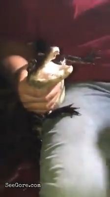 A stupid man let his penis get bitten by a tiny croc 2