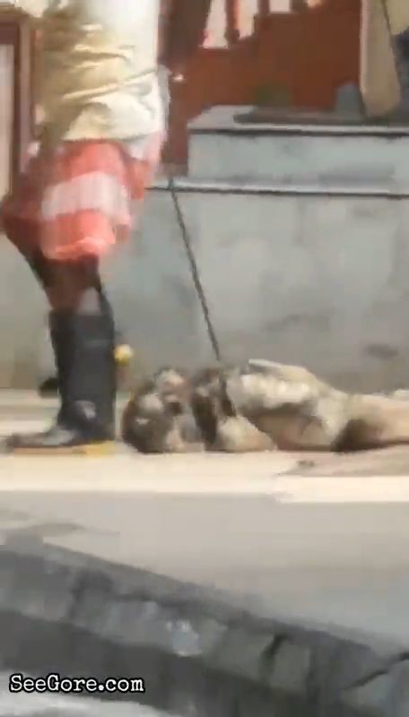 Dragging an old corpse 18