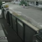 Unconfined dog attacks a female pedestrian 1