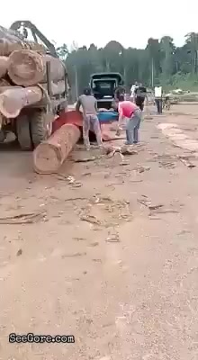 Big log left a nice curve on a worker 11