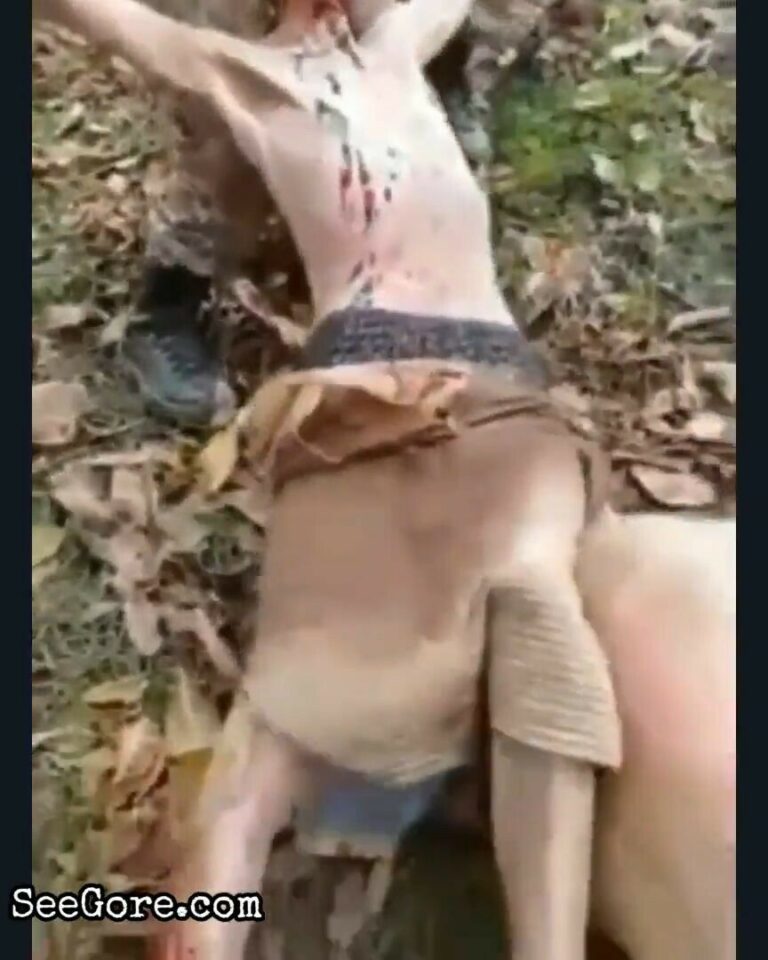 Head still moving after being chopped 17