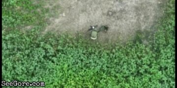 Drone drops a mortar next to a shitting Russian army 22