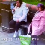 Woman smoking cigarette on a bench hit by a car 3